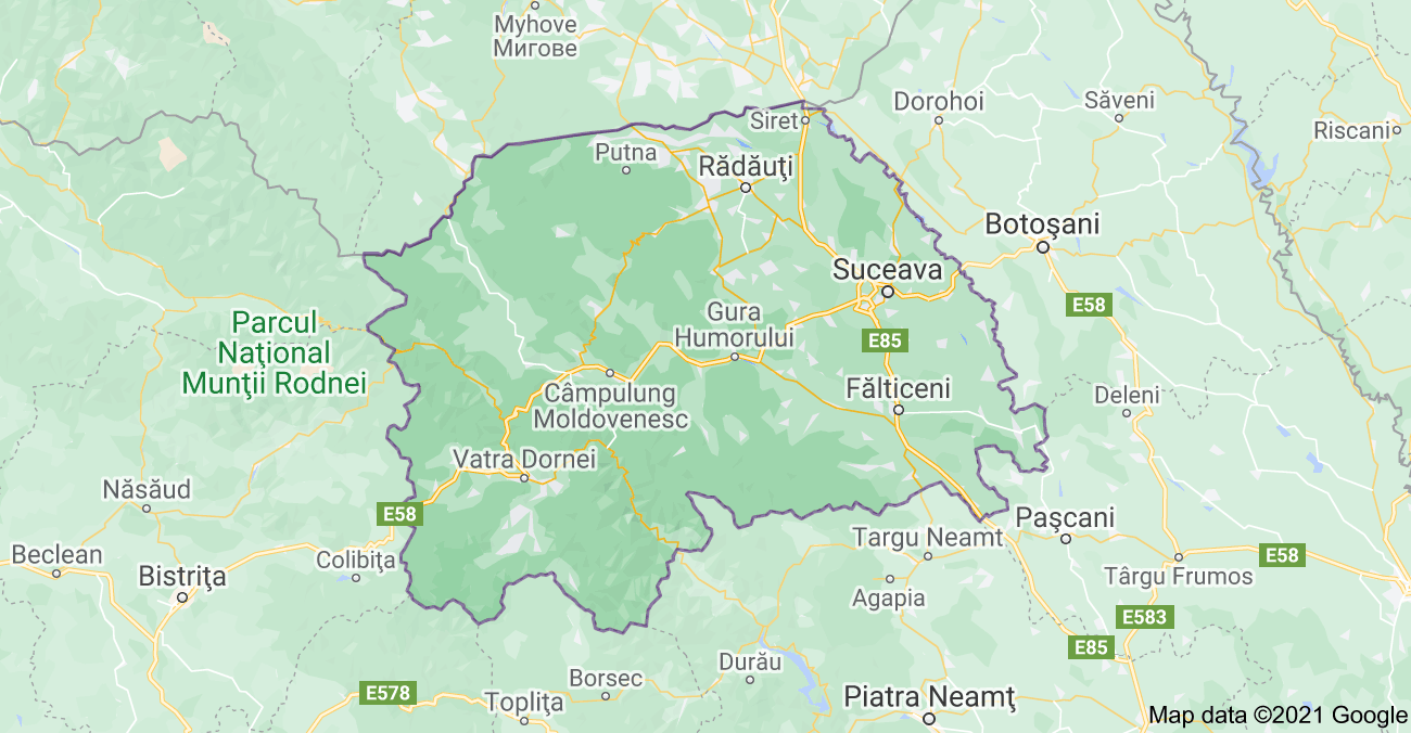 Suceava County map